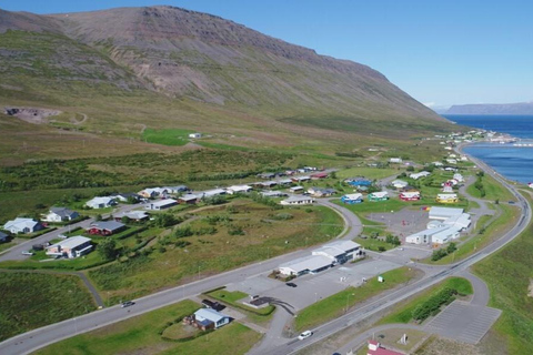 Ísafjörður: Seal Colony, Avalanche Town & Fjord Views Tour