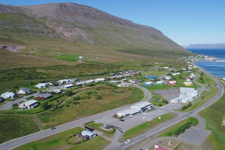 Ísafjörður: Seal Colony, Avalanche Town & Fjord Views Tour