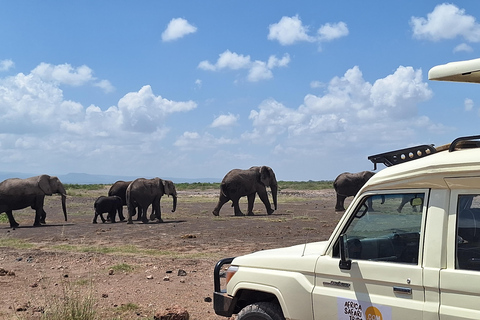 Nairobi: Amboseli National Park Tagestour mit PirschfahrtenSolo Nairobi: Amboseli National Park Tagestour