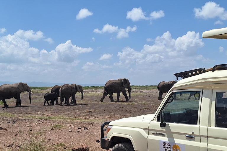 Nairobi: Amboseli National Park Tagestour mit PirschfahrtenSolo Nairobi: Amboseli National Park Tagestour