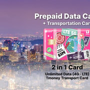 Busan Airport: Traveler SIM and Public Transportation Card