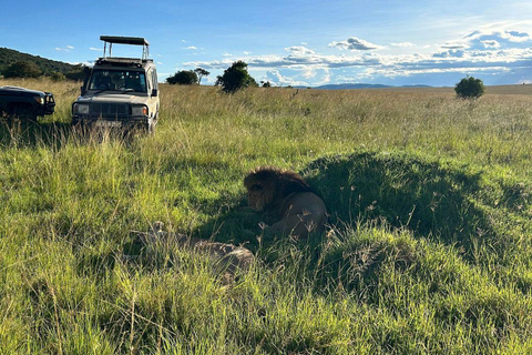Nairobi: 3-Day epic trip to Maasai Mara Reserve with meals 3 days, 2 nights private safari to Mara in a tourist VAN