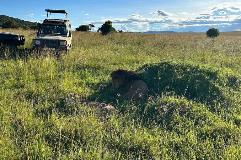 Nairobi: 3-Day epic trip to Maasai Mara Reserve with meals 3 days, 2 nights private safari to Mara in a tourist VAN