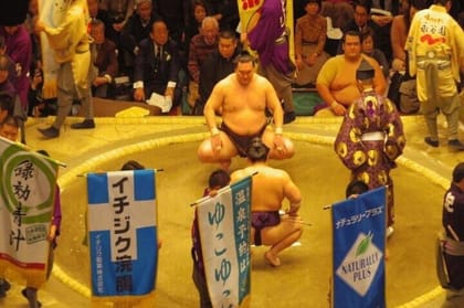 Nagoya, Sumo Tournament Tour(A-Class Seat Tickets included) - Housity