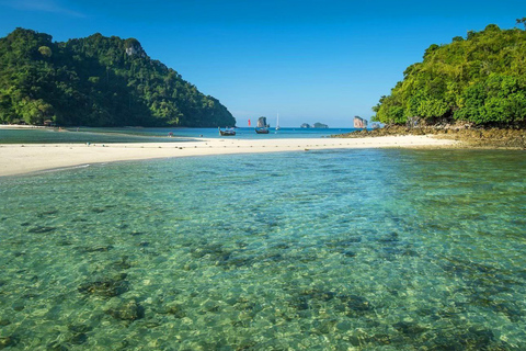 Krabi: excursion privée en bateau à longue queue des 4 îles et de Ko Hong