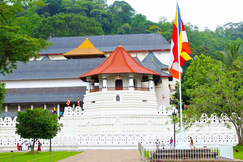Transfer to Kandy/Sigiriya/Dambulla from CMB Airport/Colombo Transfer to Dambulla from Colombo Airport (CMB)/Colombo