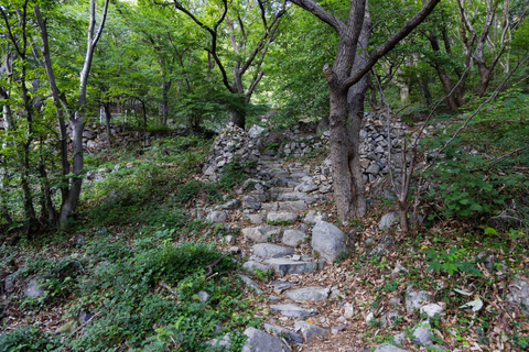 Busan Bongnaesan mountain 395m Morning Hiking Tour