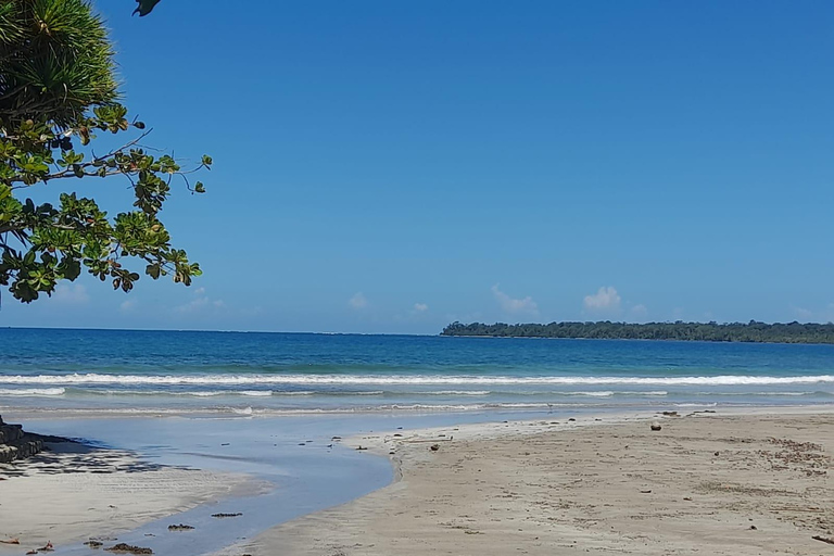 Cahuita national park : guiding tour with Pablo