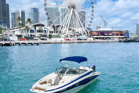 Miami : Visite privée de l'île aux étoiles, Miami Skyline et Miami River