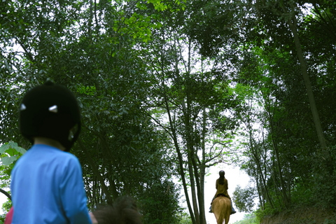 Barbados: Beginner-Friendly Forest Horseback Tour
