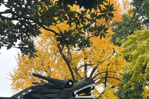 Excursão de um dia em Xangai Escala amigavelmente o Bund/Yu Garden