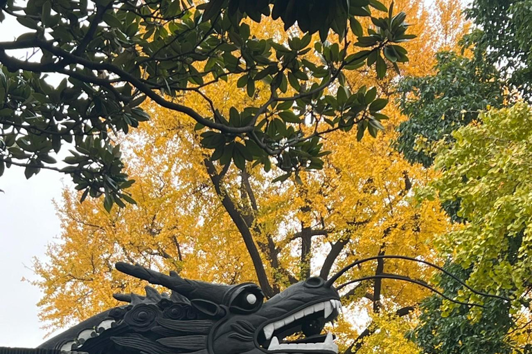 Een dagtour in Shanghai Tussenstop Vriendelijk de Bund/Yu Tuin