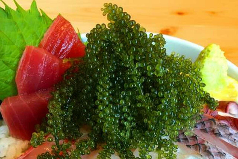 Okinawa: Fruits Land, Bise Fukugi Tree Road &amp; Seafood Lunch