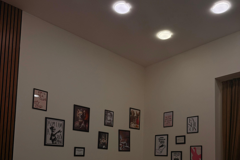 Paws in the City: Pet-Friendly Baku Experience