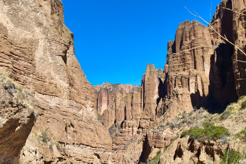 Discover the Valley of Souls and the Majestic Palca Canyon in one day
