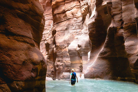 Da Amman: Tour di un giorno con il Mar Morto e il sentiero di Wadi MujibTour con solo trasporto