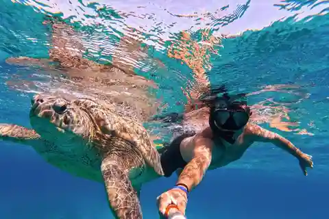 Mancora: Svøm med skildpadder - en oplevelse for livet