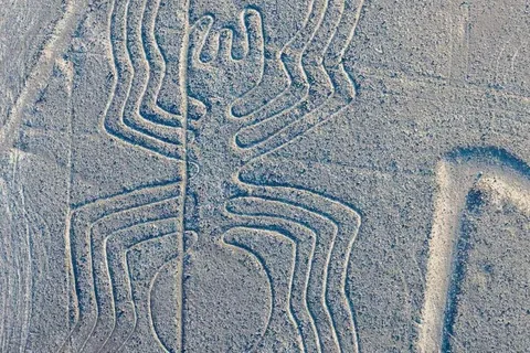Excursion terrestre sur les lignes de Nazca