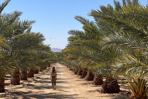 Amman: 7-Day Jordan and Saudi Arabia Trip