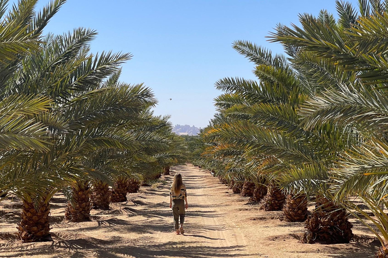 Amman: 7-Day Jordan and Saudi Arabia Trip