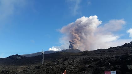 Etna: Guided Silvestri Craters Tour