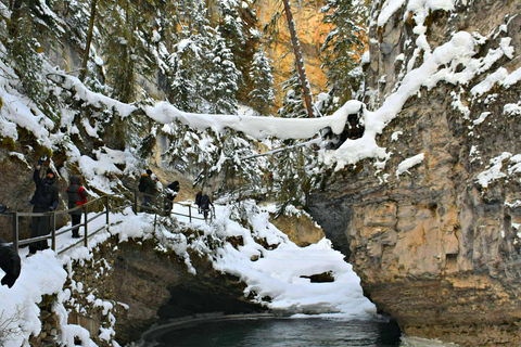 Avventura sul ghiaccio nel Johnston Canyon Un&#039;esperienza da favola invernale