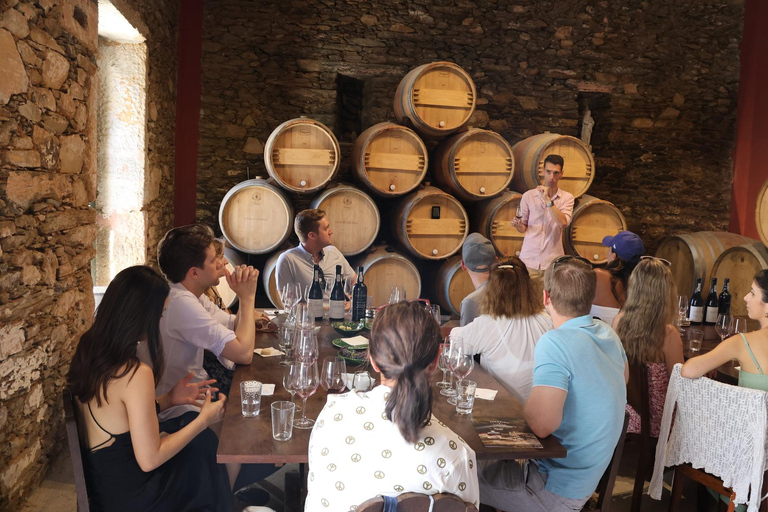 Porto: DOURO VALLEY i AMARANTE Wycieczka półdniowa po mieście