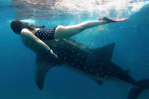 Cebu: Natação com tubarões-baleia e canoagem no KawasanTour em grupo: Natação com tubarões-baleia e canoagem no Kawasan