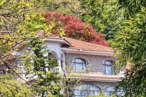 Shanghai: Moganshan Bamboo Hike with 1920s Villas private tour option
