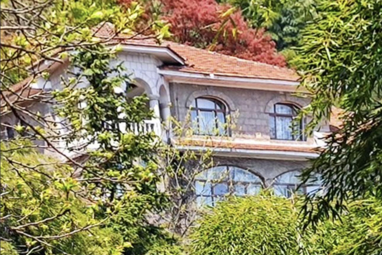 Shanghai: Moganshan Bamboo Hike with 1920s Villas private tour option