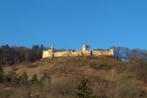 Saxon Villages Tour: Viscri, Rupea Fortress, Criț & Saschiz