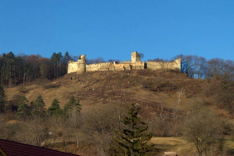 Saxon Villages Tour: Viscri, Rupea Fortress, Criț & Saschiz