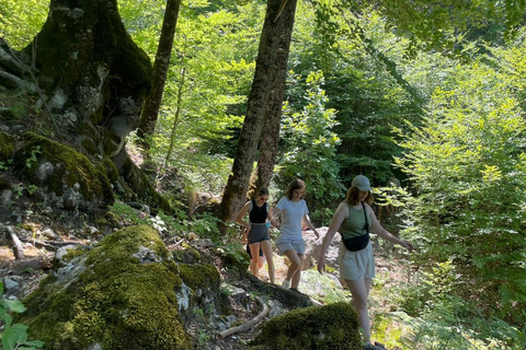 Berat: Tomorr Mountain and Lakes of Dardhë Day Trip