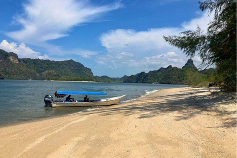 Langkawi: 4 Hours Private Mangrove Kilim Geoforest Boat Tour