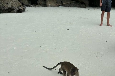 Phuket: Private Speedboat Phi Phi, Maya Bay & Pileh Lagoon