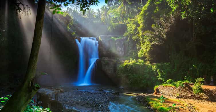 Ubud: Waterfall, Ricefield, Purification Ritual Private Tour