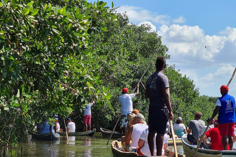 CARTAGENA: Vulkaan del totumo, Galerazamba en Manglar de la Boquilla Route