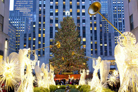 NYC: Całodniowa wycieczka krajoznawcza z odbiorem z hoteluPrywatna całodniowa wycieczka krajoznawcza po Nowym Jorku