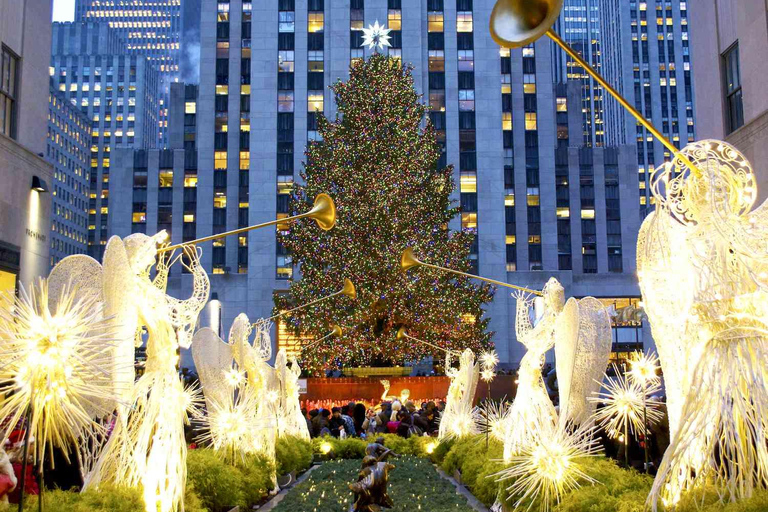 NYC: Całodniowa wycieczka krajoznawcza z odbiorem z hoteluPrywatna całodniowa wycieczka krajoznawcza po Nowym Jorku