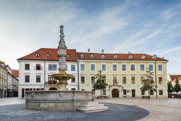 Bratislava Old Town Private Walking Tour with Danube Cruise