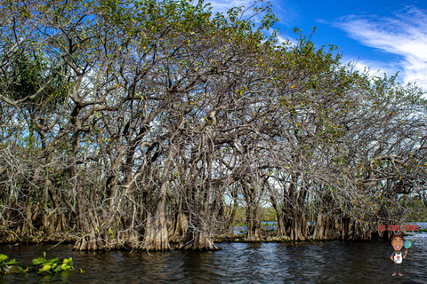 3-Day Florida Getaway: Miami, Everglades &amp; Key West Snorkel