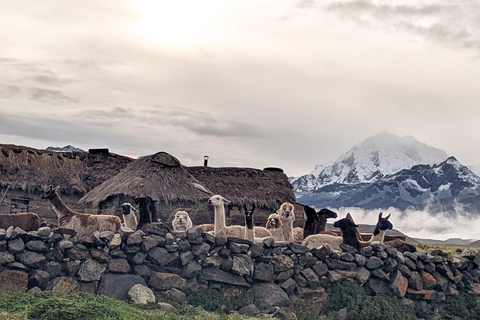 Private 4x4 Expedition: Landscapes of the Cordillera Real from La Paz