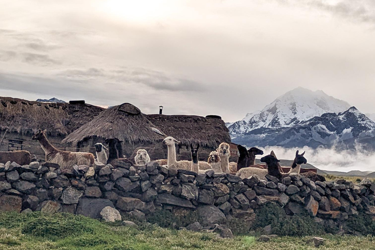 Private 4x4 Expedition: Landscapes of the Cordillera Real from La Paz