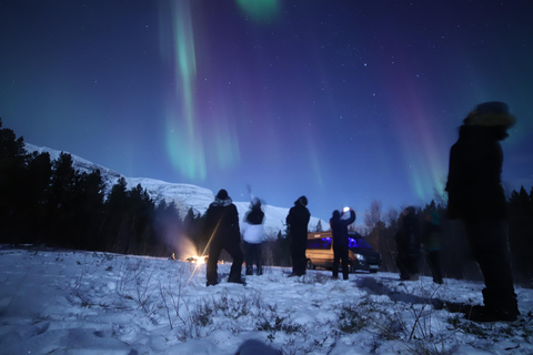 Aurora Optimum: Best 3-Night Forecast