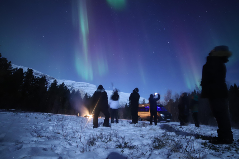 Aurora Optimum: Best 3-Night Forecast