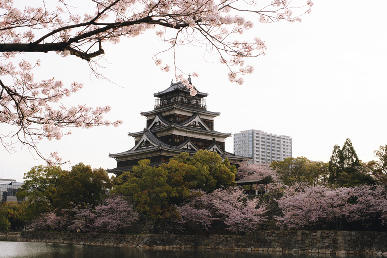 Discover Hiroshima: Private Guided City Tour by Car