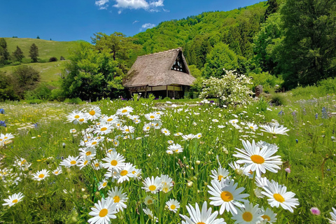 Nagoya: Viaggio invernale Hida Takayama e Shirakawa-go UNESCO