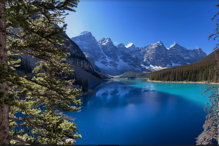 Depuis Banff/Canmore : Visite de Lake Louise et de la promenade des Glaciers