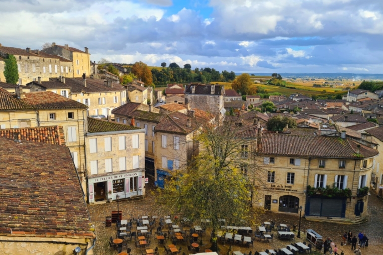 Bordeaux: Half-Day Morning Small Group Wine Tour