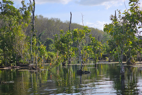 Krabi: South Kayak Klong Root Kayaking Tour Kayaking & Din Daeng Doi